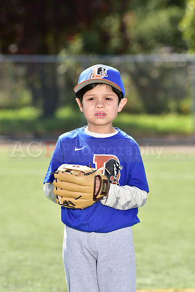 T-Ball_Bulls0014