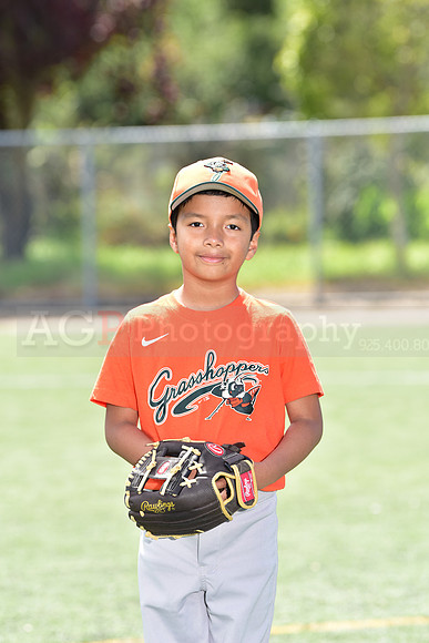 T-Ball_Grasshoppers0002