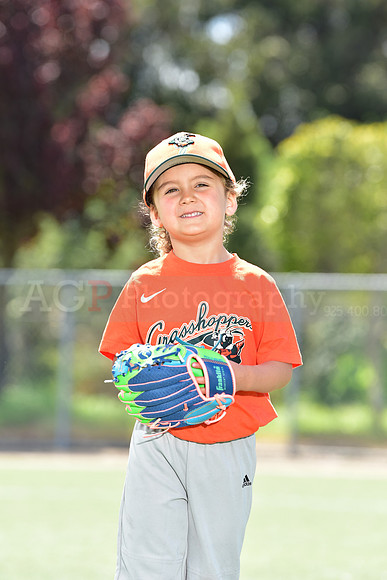 T-Ball_Grasshoppers0006