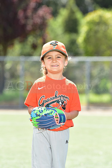 T-Ball_Grasshoppers0005