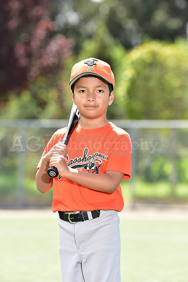 T-Ball_Grasshoppers0004