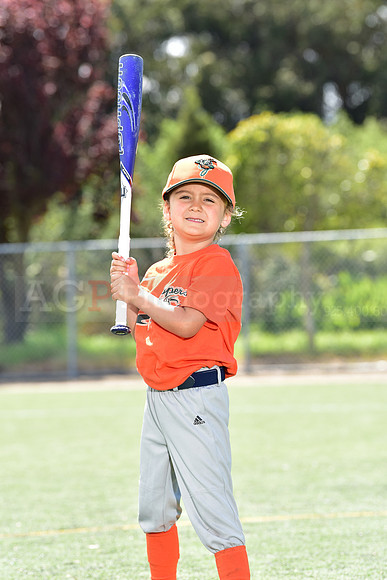 T-Ball_Grasshoppers0009