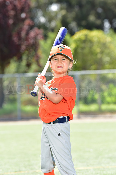 T-Ball_Grasshoppers0007