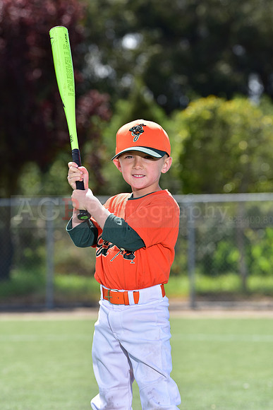 T-Ball_Grasshoppers0014