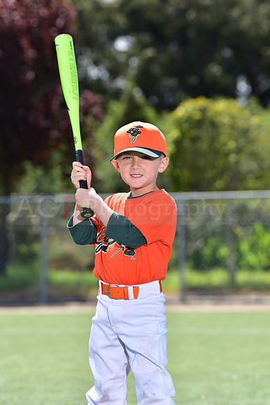 T-Ball_Grasshoppers0015