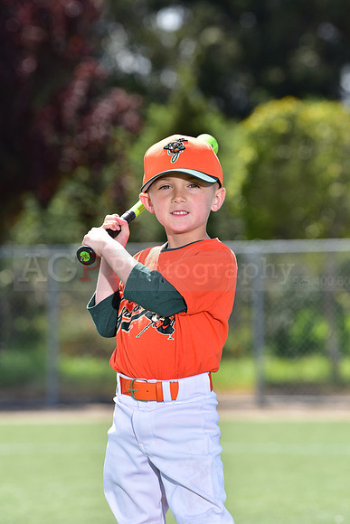 T-Ball_Grasshoppers0016