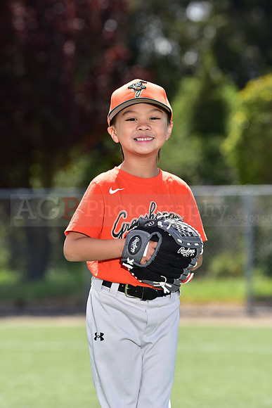 T-Ball_Grasshoppers0019