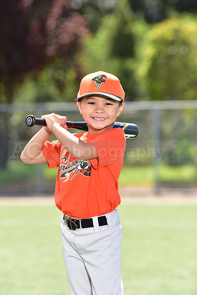 T-Ball_Grasshoppers0022