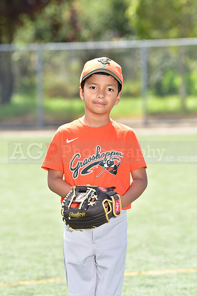 T-Ball_Grasshoppers0003