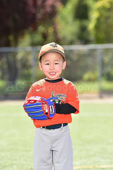 T-Ball_Grasshoppers0025