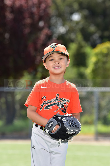 T-Ball_Grasshoppers0020