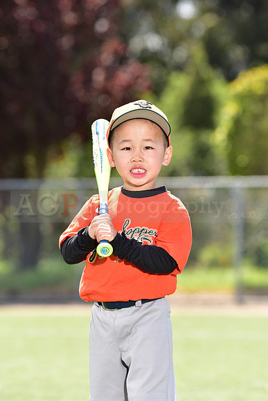 T-Ball_Grasshoppers0029