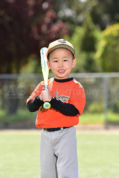 T-Ball_Grasshoppers0030