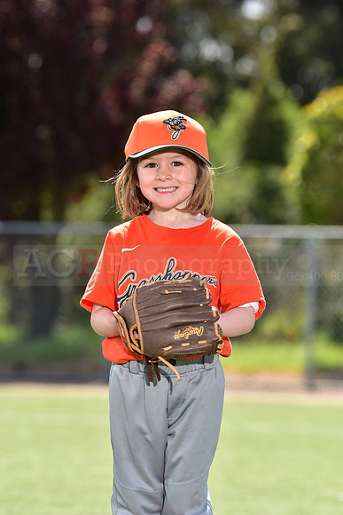 T-Ball_Grasshoppers0033