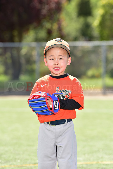 T-Ball_Grasshoppers0027