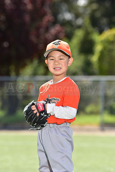 T-Ball_Grasshoppers0042
