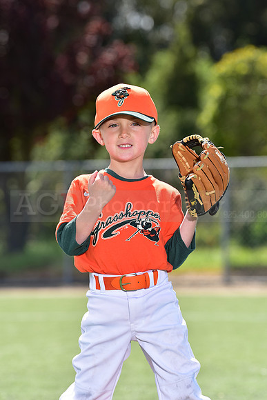 T-Ball_Grasshoppers0013