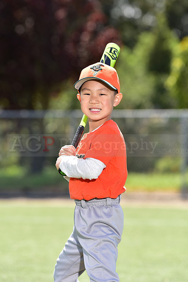 T-Ball_Grasshoppers0044