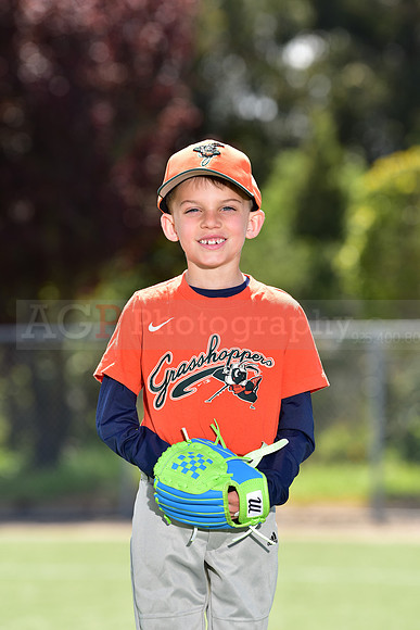 T-Ball_Grasshoppers0048