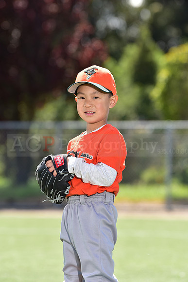T-Ball_Grasshoppers0039