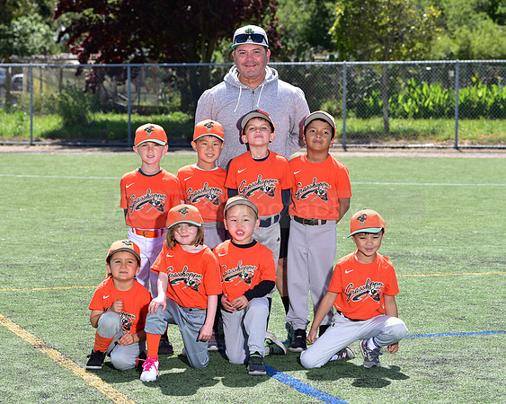 T-Ball_Grasshoppers0054