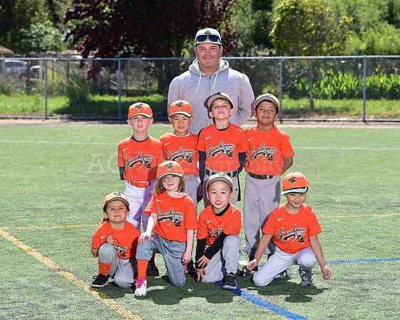 T-Ball_Grasshoppers0055