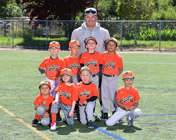 T-Ball_Grasshoppers0053