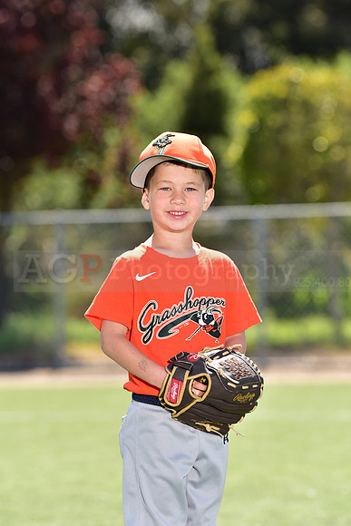 T-Ball_Grasshoppers0057