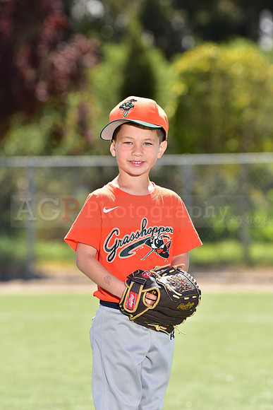 T-Ball_Grasshoppers0059