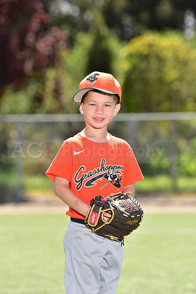 T-Ball_Grasshoppers0058