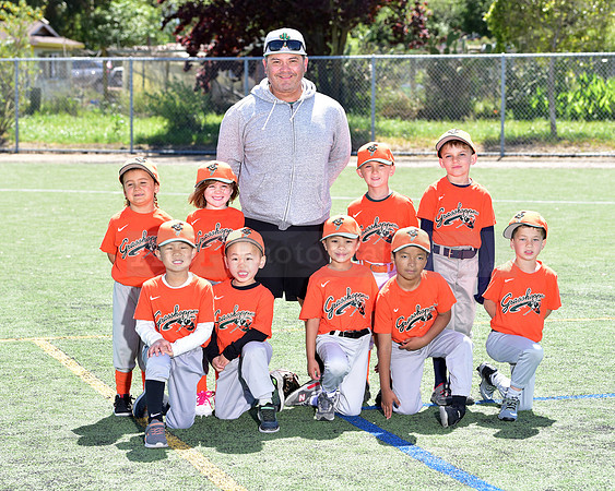 T-Ball_Grasshoppers0063