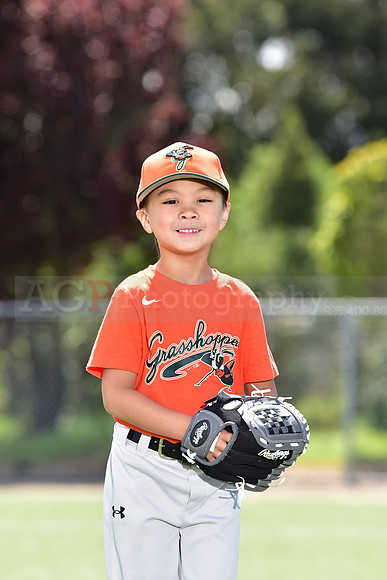 T-Ball_Grasshoppers0021
