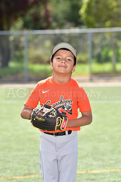 T-Ball_Grasshoppers0001