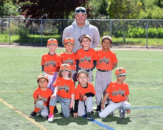 T-Ball_Grasshoppers0056