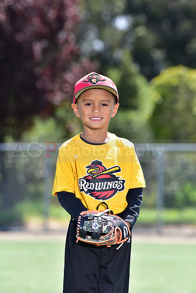 T-Ball_Redwings0001