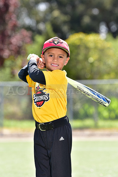 T-Ball_Redwings0004