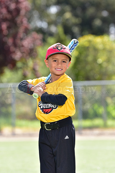 T-Ball_Redwings0007