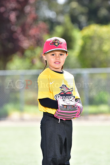 T-Ball_Redwings0009