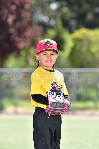 T-Ball_Redwings0010