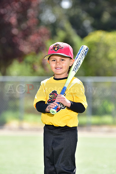 T-Ball_Redwings0012