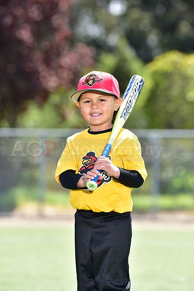 T-Ball_Redwings0011