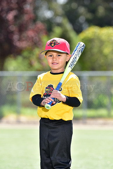 T-Ball_Redwings0013