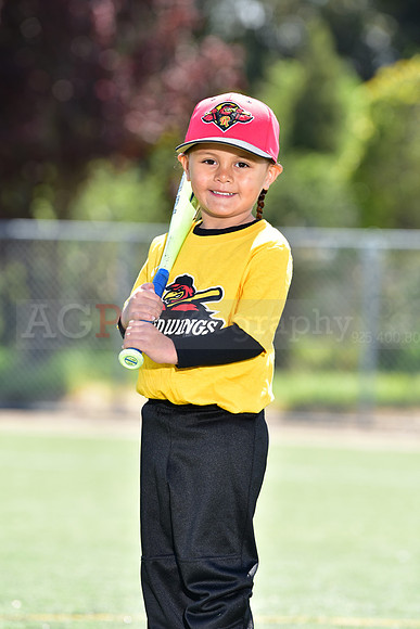 T-Ball_Redwings0015