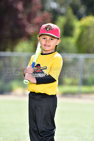 T-Ball_Redwings0014