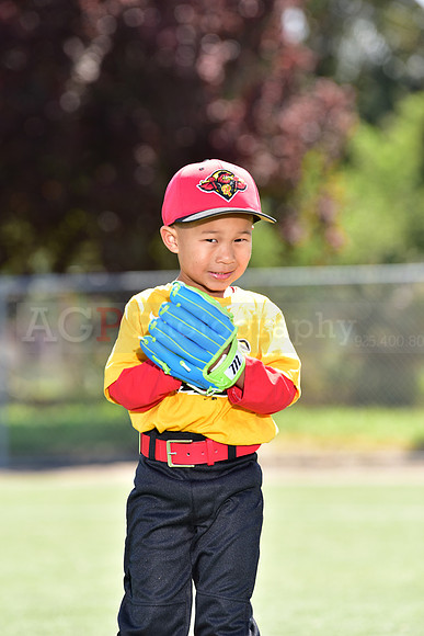 T-Ball_Redwings0016