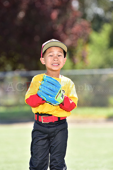 T-Ball_Redwings0017
