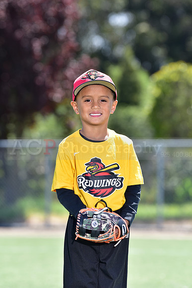 T-Ball_Redwings0002