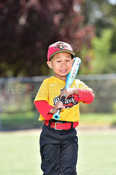 T-Ball_Redwings0020