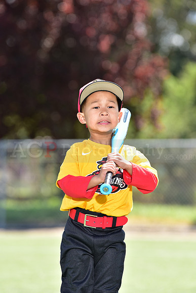 T-Ball_Redwings0019