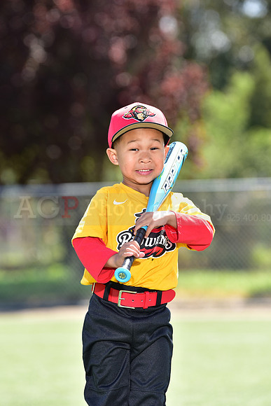 T-Ball_Redwings0021